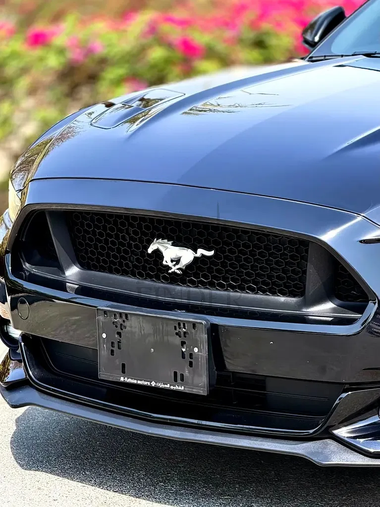 2017 Ford Mustang GT 5.0L V8 GCC Specs
